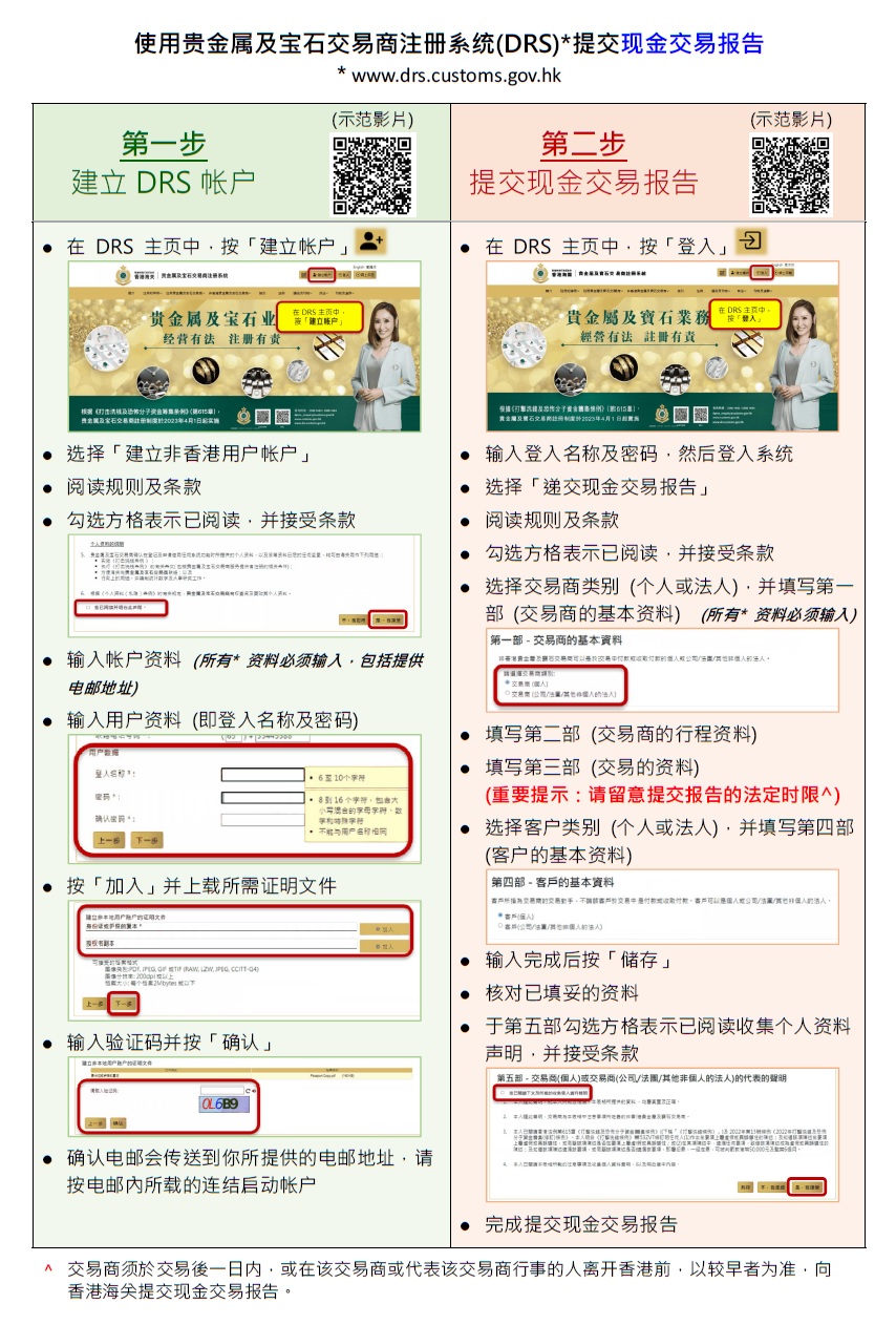 資料頁 - 使用DRS提交現金交易報告 